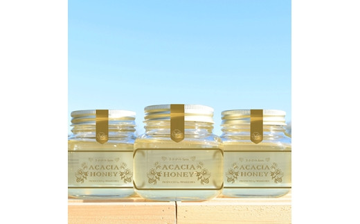 【数量限定！】北海道岩見沢産アカシアの蜂蜜350g×2個【48003】