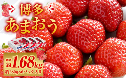 福岡県産 博多あまおう 約1.68kg (約280g×6パック入り) いちご 苺