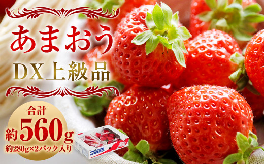 福岡県産 博多あまおう DX 上級品 約560g (約280g×2パック入り) いちご 苺