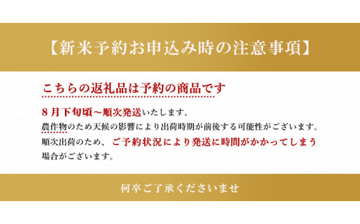 MB02 新米 令和5年産 きぬひかり 玄米 30kg or 白米 27kg - 熊本県玉名