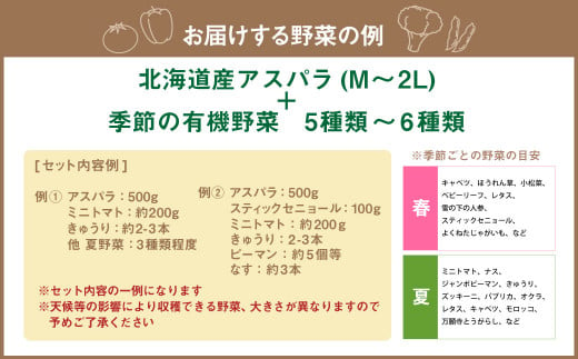 北海道産 アスパラと季節の有機野菜 セット