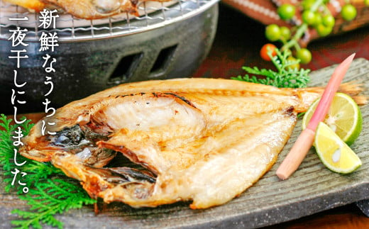 のどぐろを育む日本海の豊富な漁場が、のどぐろを極上の逸品にします！