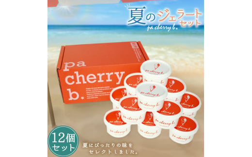 pa cherry b.サマーセレクション12種12個セット