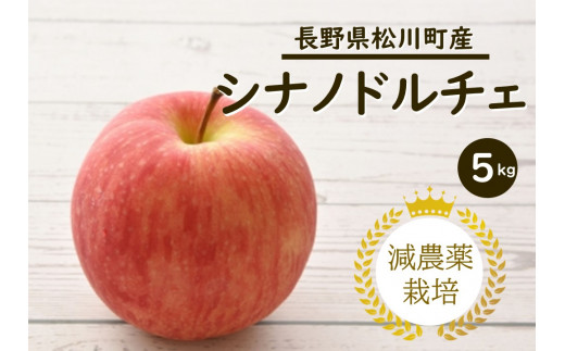 YN13-24A りんご シナノドルチェ 約5kg 減農薬栽培 秀品／9月中旬頃から配送予定 412817 - 長野県松川町