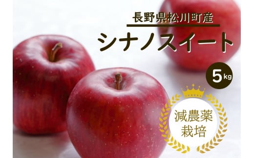 YN12-24A りんご シナノスイート 約5kg 減農薬栽培 秀品／10月上旬頃から配送予定 412816 - 長野県松川町