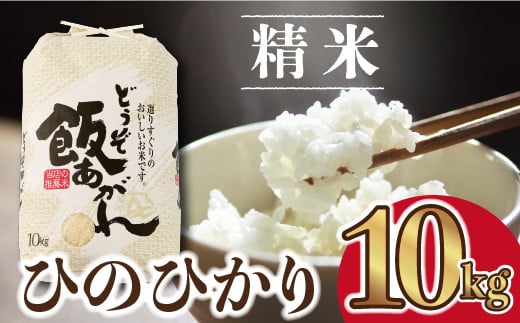 令和5年佐賀県産ヒノヒカリ白米12kg：B017-023 - 佐賀県佐賀市