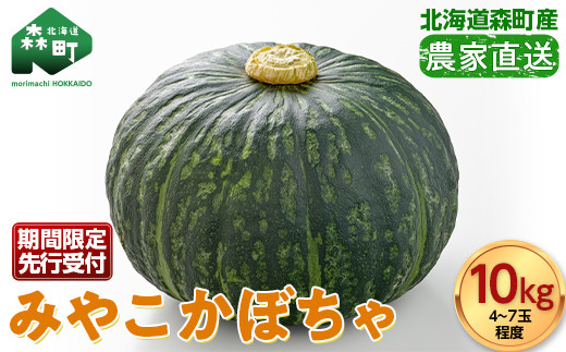 先行予約】みやこかぼちゃ約10kg 北海道森町産（令和5年7月下旬～8月
