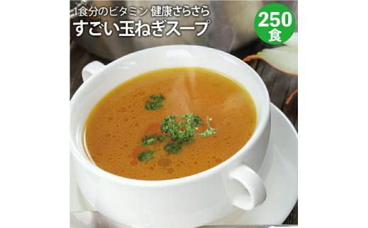すごい玉ねぎスープ250包セット F20E-989 995025 - 群馬県富岡市