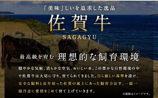 佐賀牛 切り落とし 合計1.1kg（600g+500g）／ 佐賀牛＆博多和牛 切り落とし 合計1.2kg (600g×2パック)