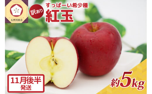 紅玉5kg 程度 紅玉リンゴ 訳あり 青森|タルトタタン に最適 不揃い りんご 11月 12月 1月 2月 3月 【11月後半発送】 1064858 - 青森県五所川原市