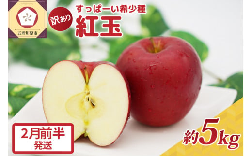 紅玉5kg 程度 紅玉リンゴ 訳あり 青森|タルトタタン に最適 不揃い りんご 11月 12月 1月 2月 3月 【2月前半発送】 1064863 - 青森県五所川原市