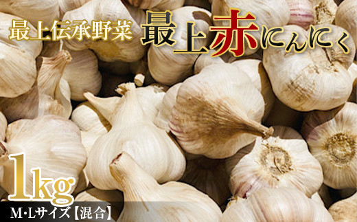 残り6つ 訳ありニンニク10kgサイズLメイン - 野菜