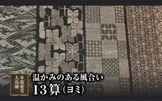 [本場奄美大島紬]温かみのある風合いが特徴の13算