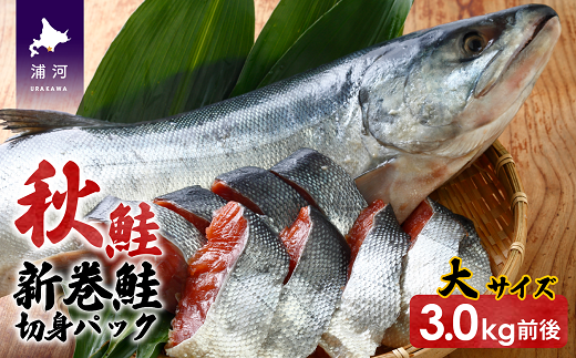 特選＞北海道産天然時鮭3.9kg 姿造り-