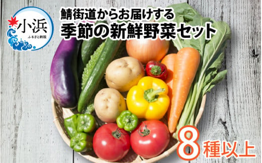 鯖街道からお届け 季節の新鮮 野菜セット 8種以上  974744 - 福井県小浜市