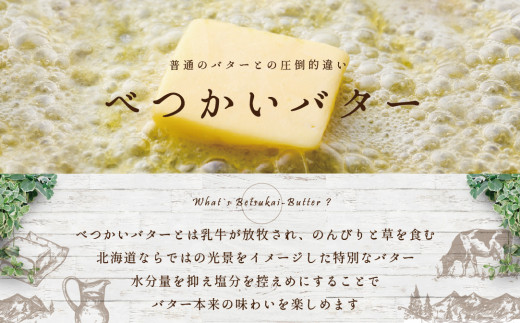 人気! バター チーズ 詰め合わせ お楽しみ セットA！ 4種 計 600g 酪農