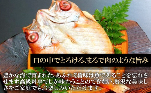 和田珍味の「のどぐろ一夜干」定期便（2回お届け）【定期便 のどぐろ 干物 5尾 2回 合計10尾 のどぐろ一夜干し のどぐろ干物 個包装 真空パック  冷凍 セット 詰め合わせ 島根県 大田市】