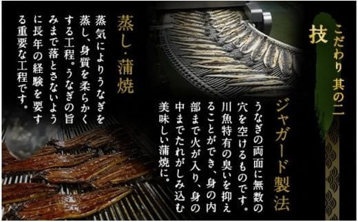 鰻天屋の九州産うなぎ 蒲焼 10尾 セット (1尾あたり160～189g)