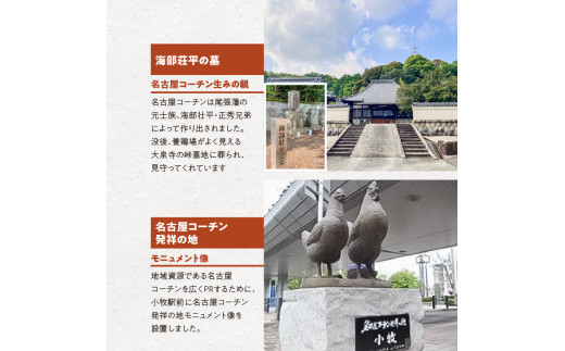 アイテムID:436647の画像7枚目