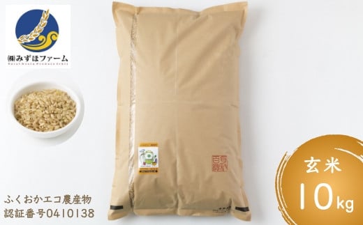 P458-10 みずほファームの特別栽培米 ヒノヒカリ 玄米10kg  264358 - 福岡県うきは市