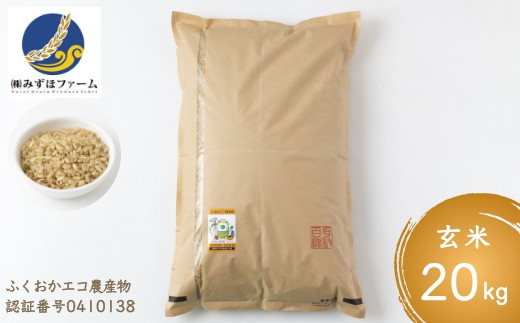 P458-20 みずほファームの特別栽培米 ヒノヒカリ 玄米20kg 264359 - 福岡県うきは市