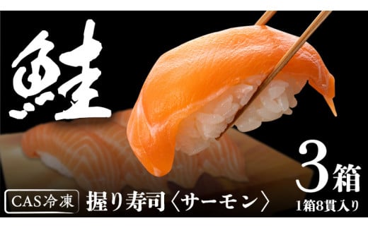 サーモン推し！ 冷凍握り寿司 24貫 CAS精密冷凍 すし 寿司 サーモン 鮭 ネギトロ
