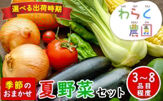 季節のおまかせ『夏』野菜セット 3〜8品目程度 わらく農園[出荷時期をお選びください]熊本県 葦北郡 津奈木町 野菜 野菜セット st-p