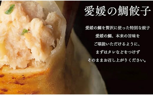 愛媛の鯛ぎょうざ（30個） 簡単調理のお惣菜 634103 - 愛媛県松山市