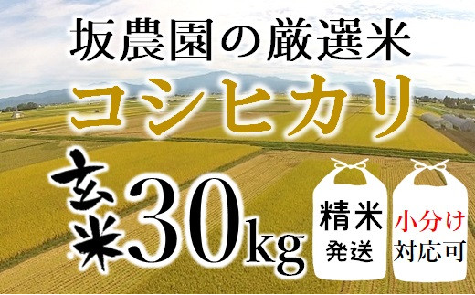 【令和5年産・精米発送】坂農園の厳選米！コシヒカリ玄米30kg|坂　一秀