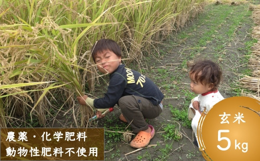 福岡県うきは市のふるさと納税 | 商品一覧 | セゾンのふるさと納税