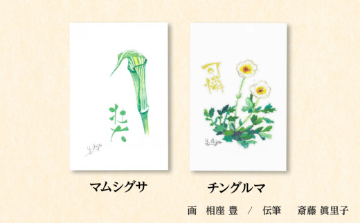 絵葉書 はがき オリジナル 5枚 ハガキ 可愛い ギフト 花 植物 - 北海道 