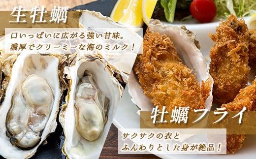 北海道 仙鳳趾名産 牡蠣 150g～199g×24コ+かきナイフ付き かき漁師直送