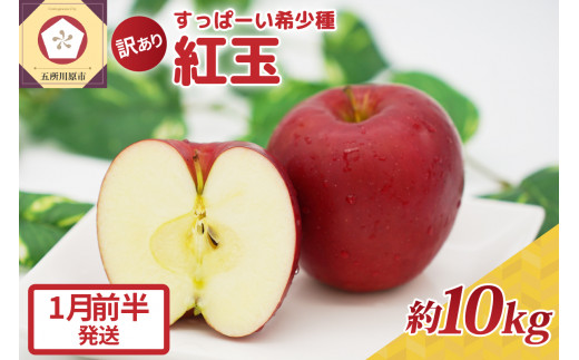 紅玉10kg 程度 紅玉リンゴ 訳あり 青森|タルトタタン に最適 不揃い りんご 11月 12月 1月 2月 3月 【1月前半発送】 1064871 - 青森県五所川原市