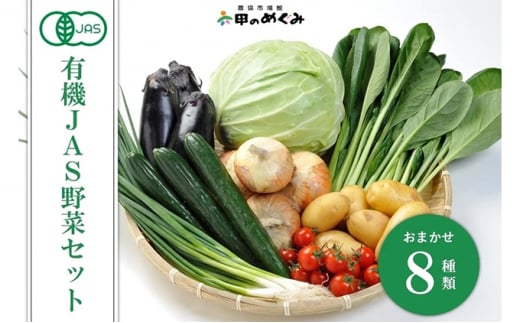 有機JAS野菜セット（8種類） 977173 - 兵庫県兵庫県庁