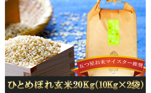 盛岡市産ひとめぼれ玄米 20kg 979091 - 岩手県盛岡市