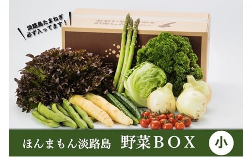 ほんまもん淡路島野菜BOX（小） 977174 - 兵庫県兵庫県庁
