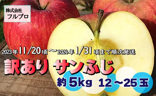 No.5657-3688]【2023年産受付開始！】サンふじ 訳あり 約5kg(12-25玉