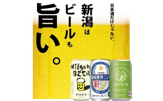 新潟ビール飲み比べ 3種X4本（計12本）セット 975733 - 新潟県新潟県庁
