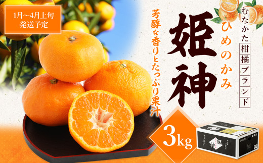旬のミカンをお届け！JAむなかた柑橘ブランド「姫の神」3kg 甘くておいしいみかん