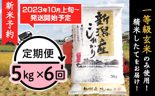 2022年産　コシヒカリ 玄米 中米 農家　栃木県産　20kg 蔵保管品　2