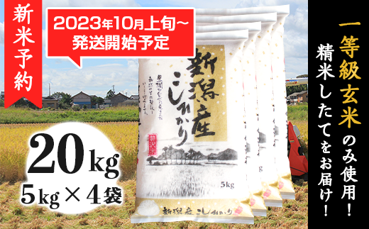 新米！！令和五年度新潟県産コシヒカリ 玄米20kg | hartwellspremium.com