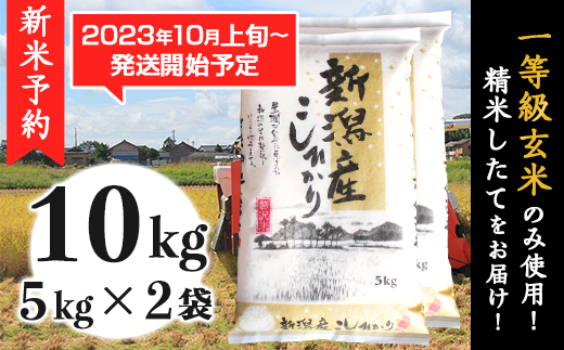 31-07新潟県産コシヒカリ10kg（5kg×2袋） - 新潟県胎内市｜ふるさと