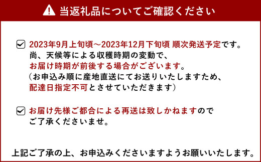 【2023年9月上旬～順次発送予定】マイヤーレモン 3kg(25玉～30玉) ひかる農園