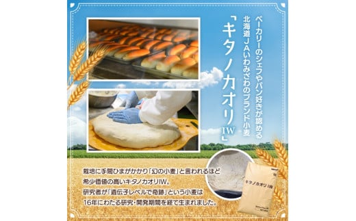アイテムID:463172の画像3枚目