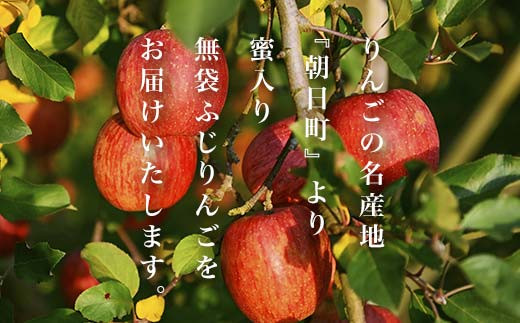 【山形の極み】贈答用 2023年 山形県産 蜜入り 無袋 ふじ りんご 特秀 2kg（6個） 2023年12月上旬から順次発送 F2Y-5546