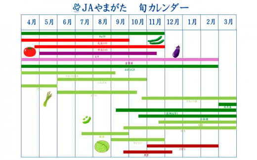 山形の野菜詰合せ お試し版【5～10品程度】 FZ23-563 - 山形県山形市