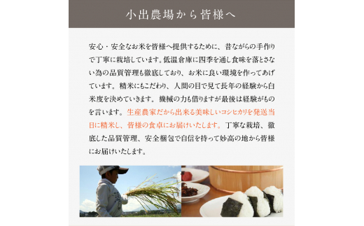 【2024年3月上旬発送】新潟県妙高産こしひかり「星降る里」5kg無洗米