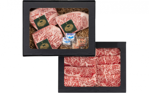 おかやま 和牛肉 A5 等級 満喫セット 合計約800g（サーロインステーキ 約450g＆すき焼・しゃぶしゃぶ用 ローススライス 約350g）牛 赤身  肉 牛肉 冷凍[№5735-1836]