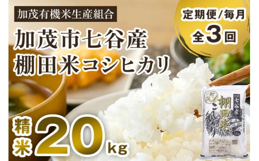 【令和6年産新米】【定期便3回毎月お届け】七谷産 棚田米 コシヒカリ 精米 20kg（5kg×4）白米 加茂有機米生産組合 新潟県 加茂市産 白米 米 お米 定期便 977614 - 新潟県加茂市