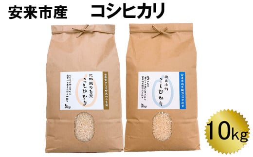 安来市産コシヒカリ10kg 令和5年産 【5kg 2袋　精米 お米 島根 おいしい 食べ比べ】